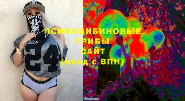тгк Алзамай