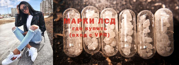 тгк Алзамай