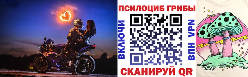 маркетплейс наркотические препараты  МЕГА вход  Конаково  Псилоцибиновые грибы Cubensis 